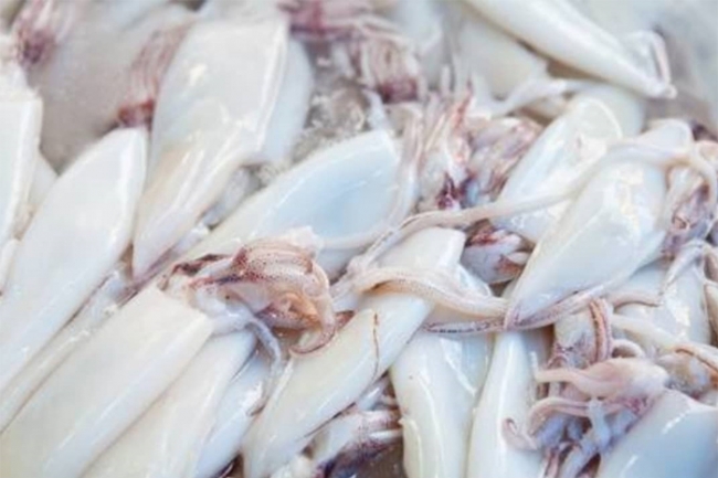 Sotong 5/7 - 6 block